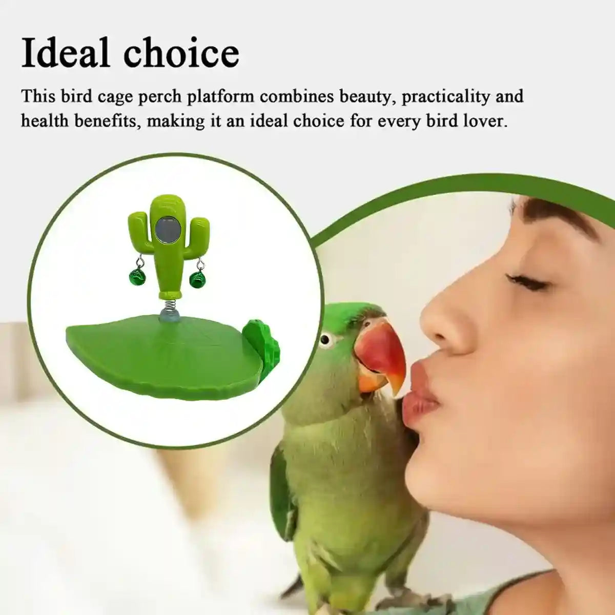 Rocking Cactus Parrot Toy with Mirror and Bells