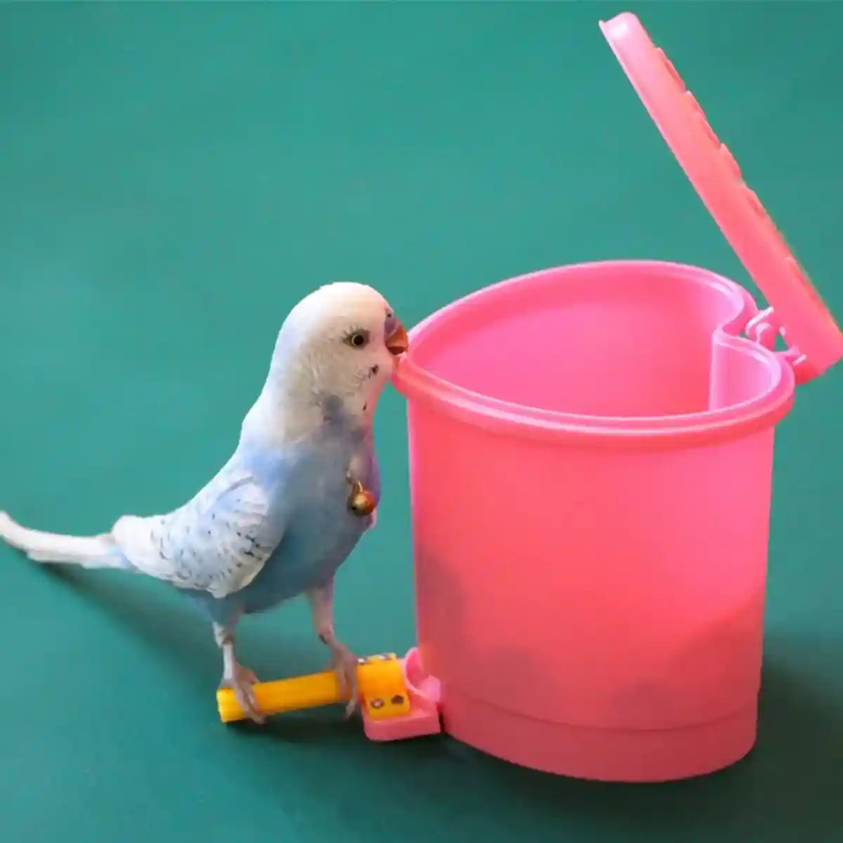 Interactive Bird Toy Set with Training Balls and Bucket for Parrots
