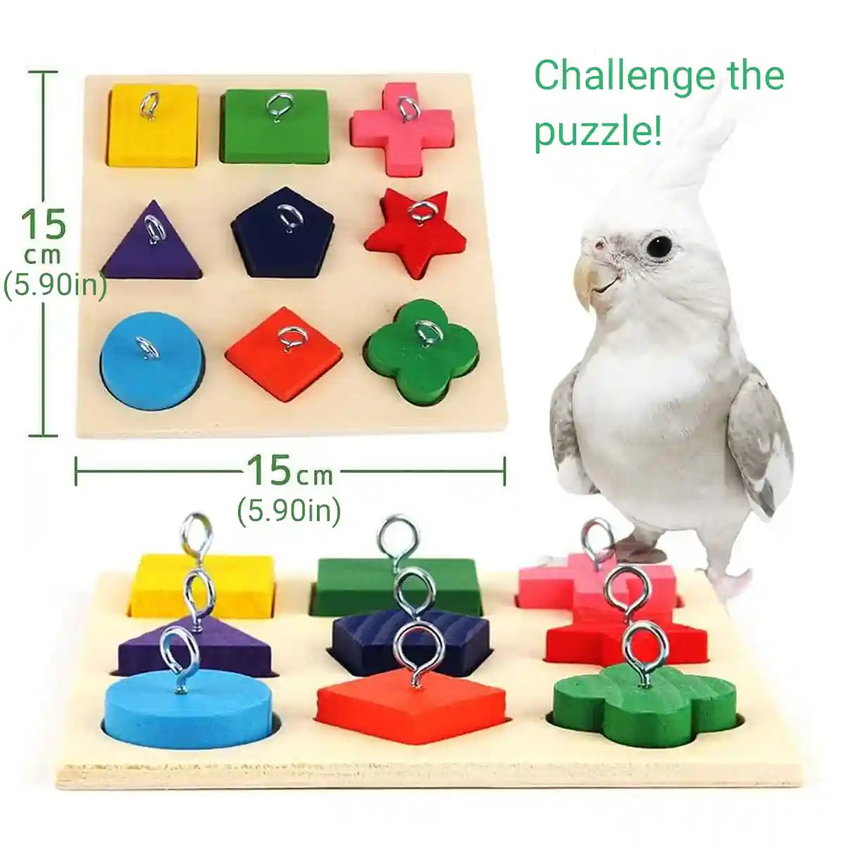 Parrot Training Toy Educational Clock Design with Wooden Blocks for Play