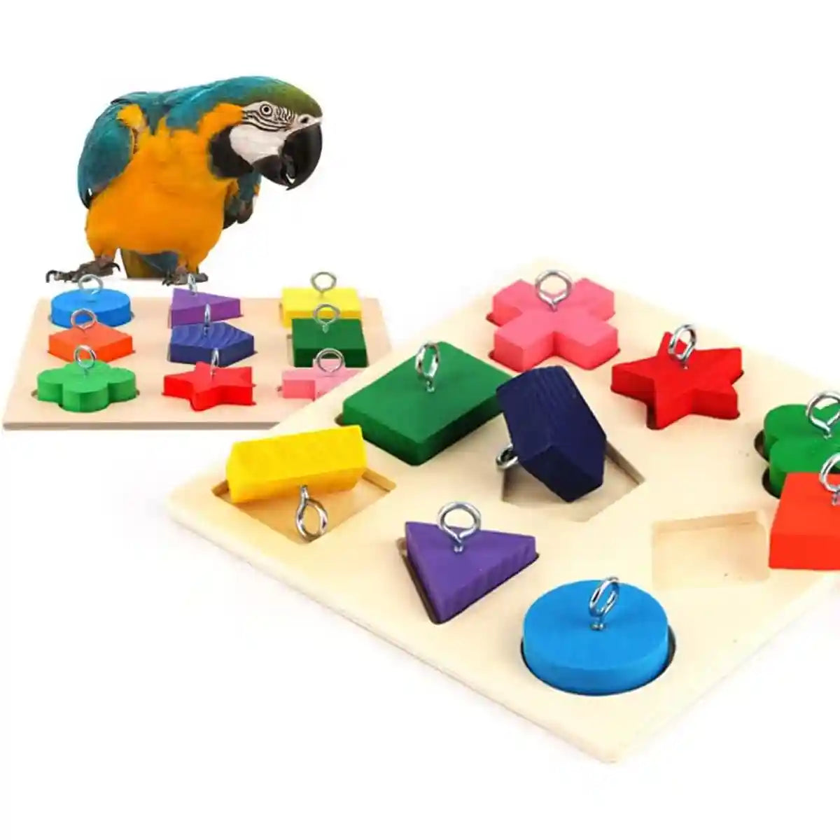 Parrot Training Toy Educational Clock Design with Wooden Blocks for Play