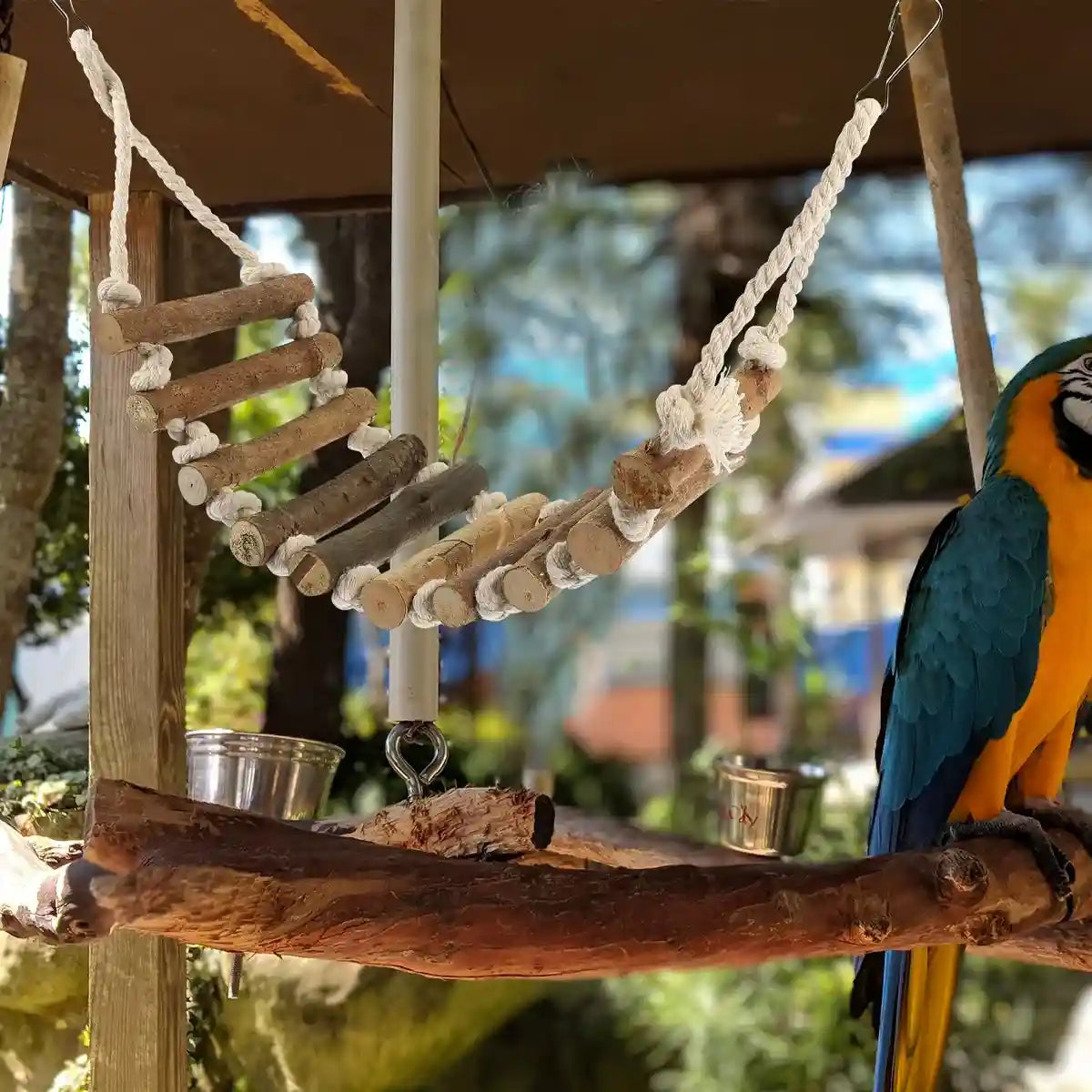 Wooden Parrot Ladder Toy 2PCS Hanging Bridge for Birds Cage