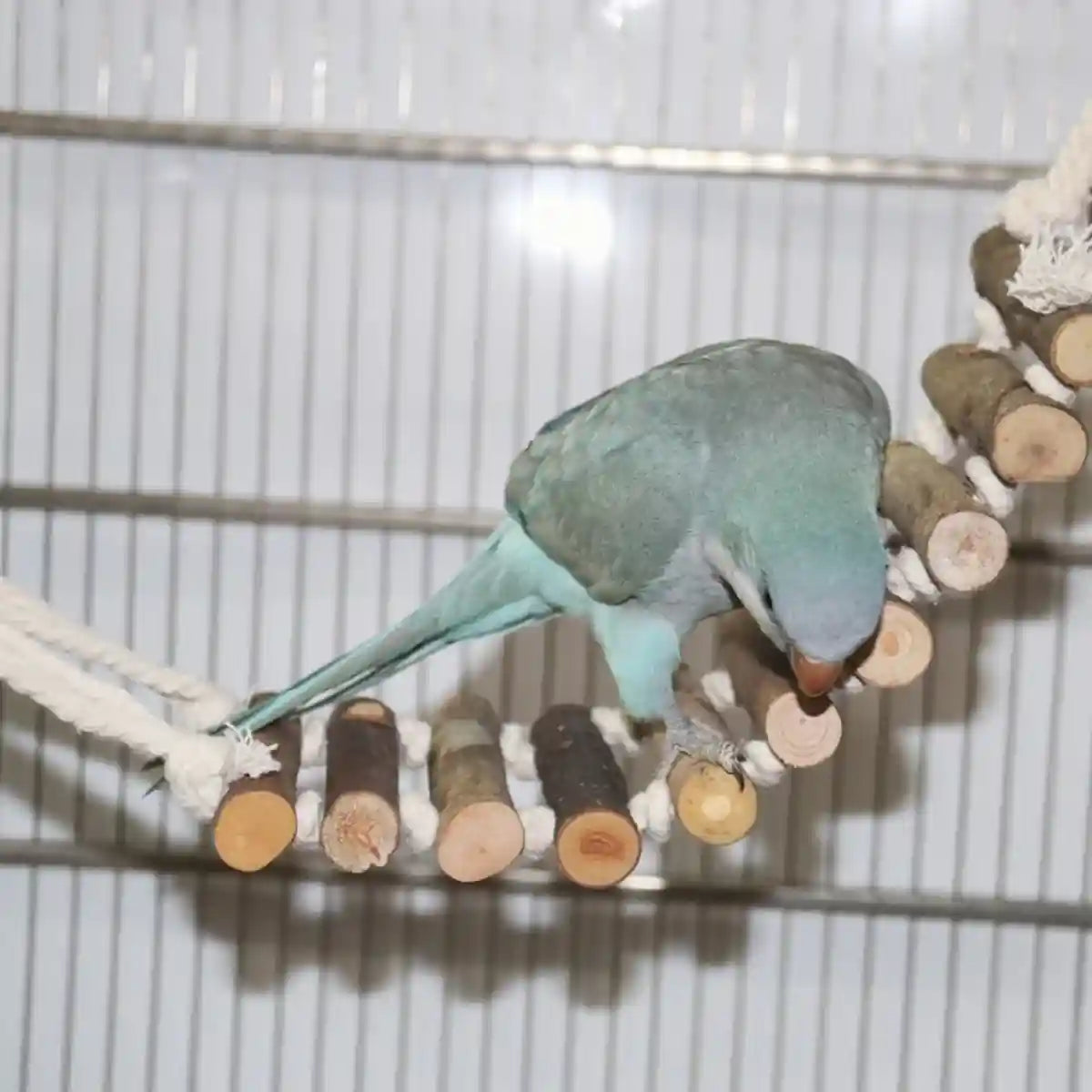 Wooden Parrot Ladder Toy 2PCS Hanging Bridge for Birds Cage