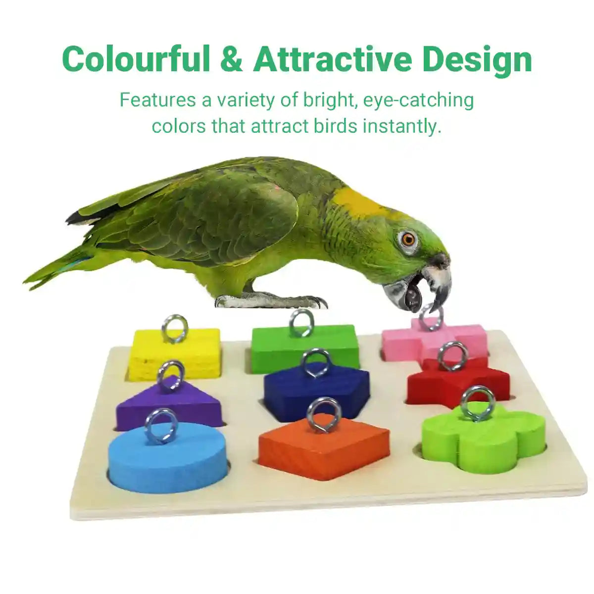 Parrot Training Toy Educational Clock Design with Wooden Blocks for Play