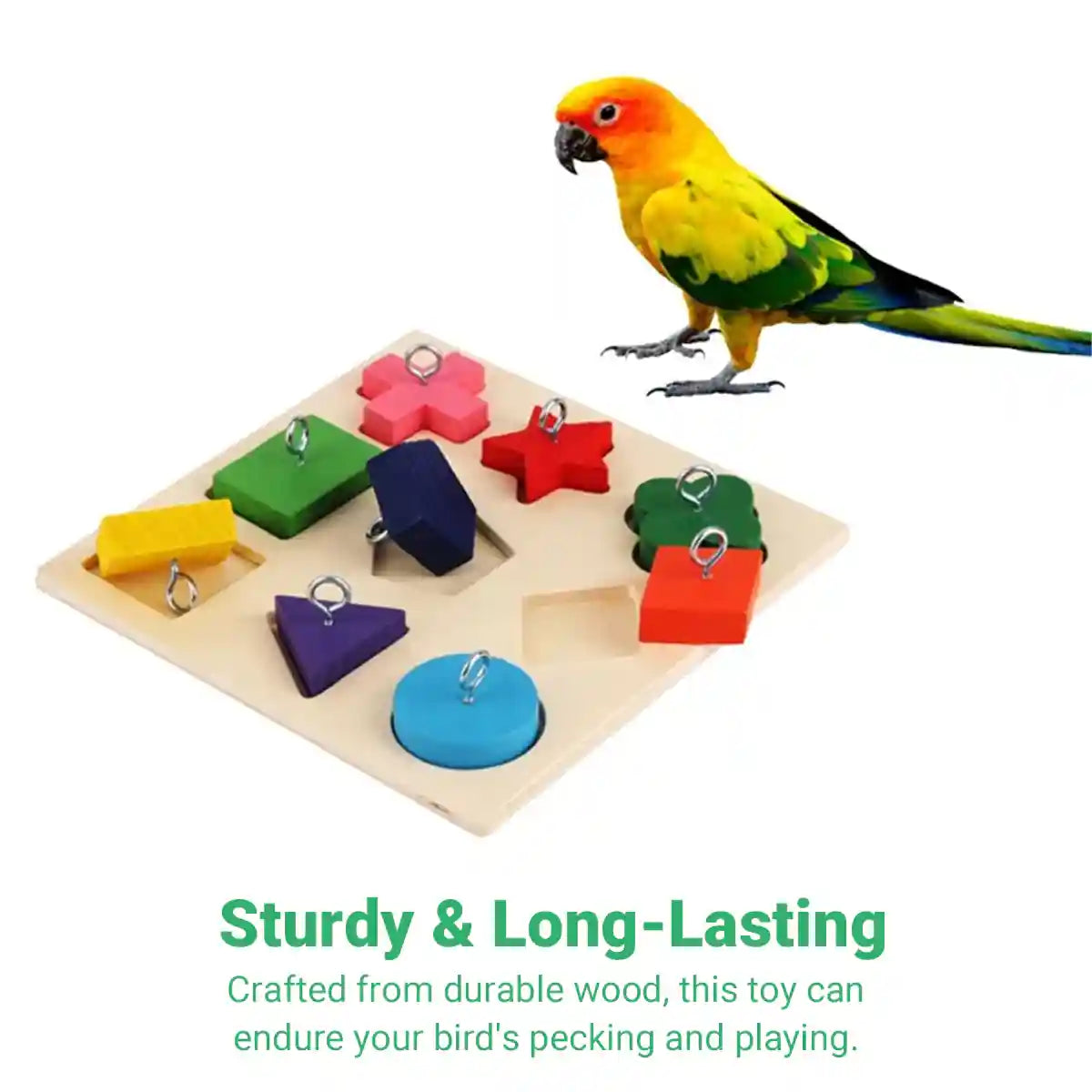 Parrot Training Toy Educational Clock Design with Wooden Blocks for Play