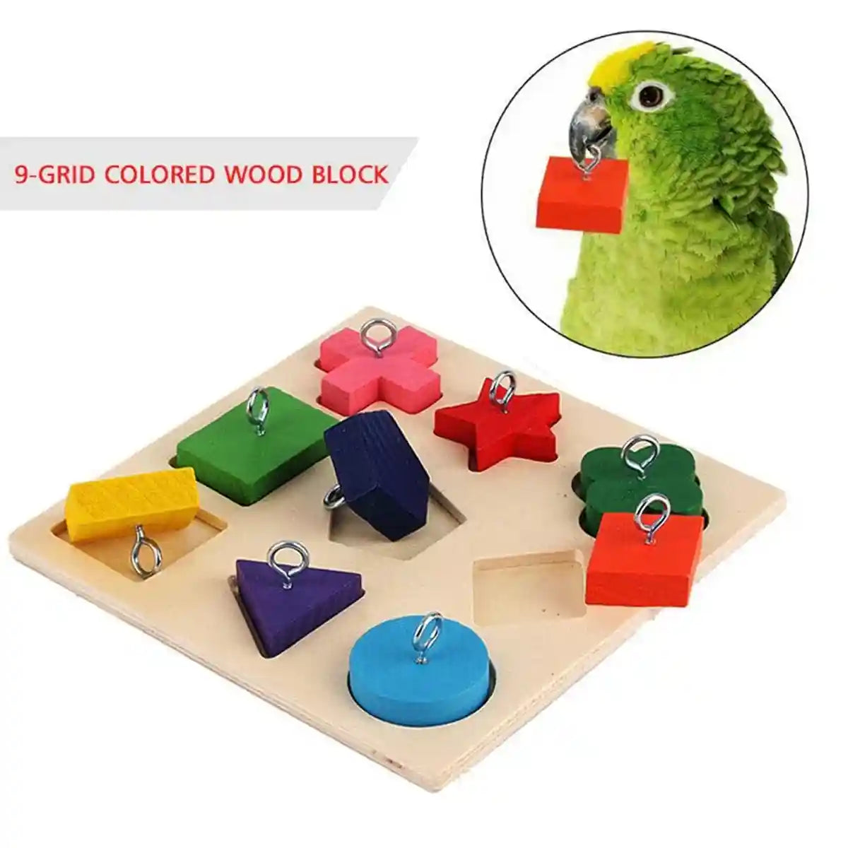 Parrot Training Toy Educational Clock Design with Wooden Blocks for Play