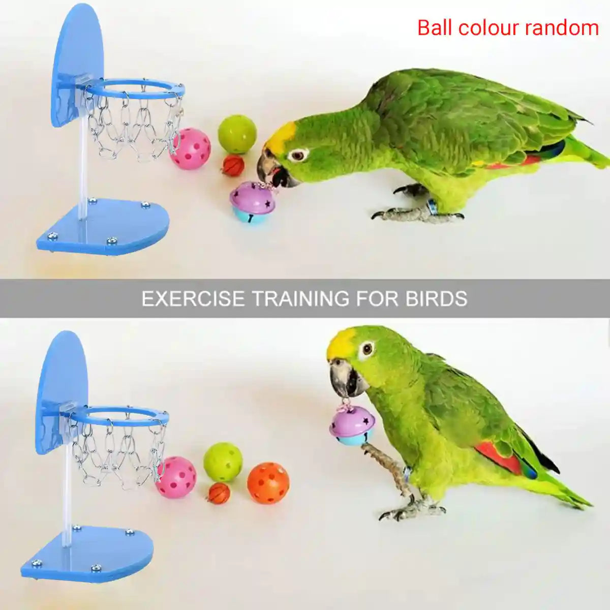 Parrot Toy Mini Basketball Hoop Game