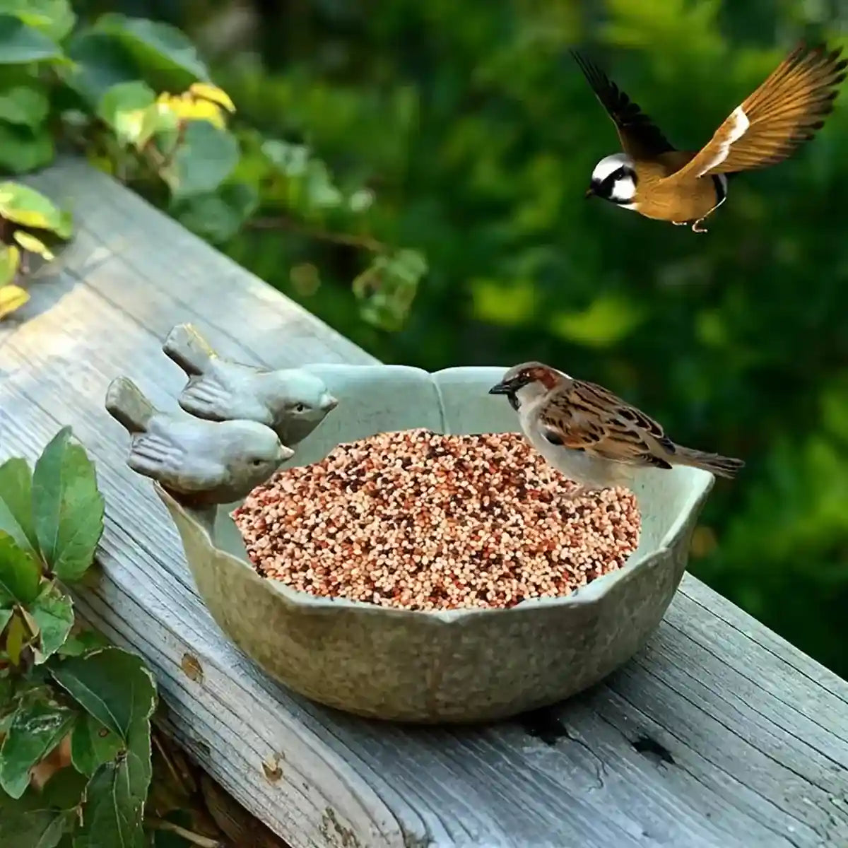 Ceramic Bird Bowl for Garden Bird Feeder & Bath Decorative Dish