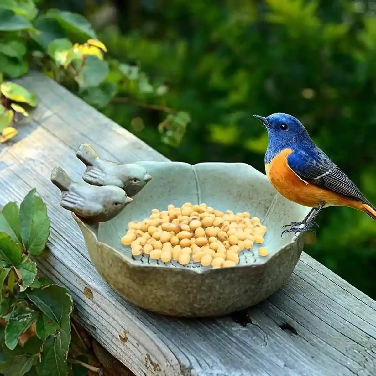 Ceramic Bird Bowl for Garden Bird Feeder & Bath Decorative Dish