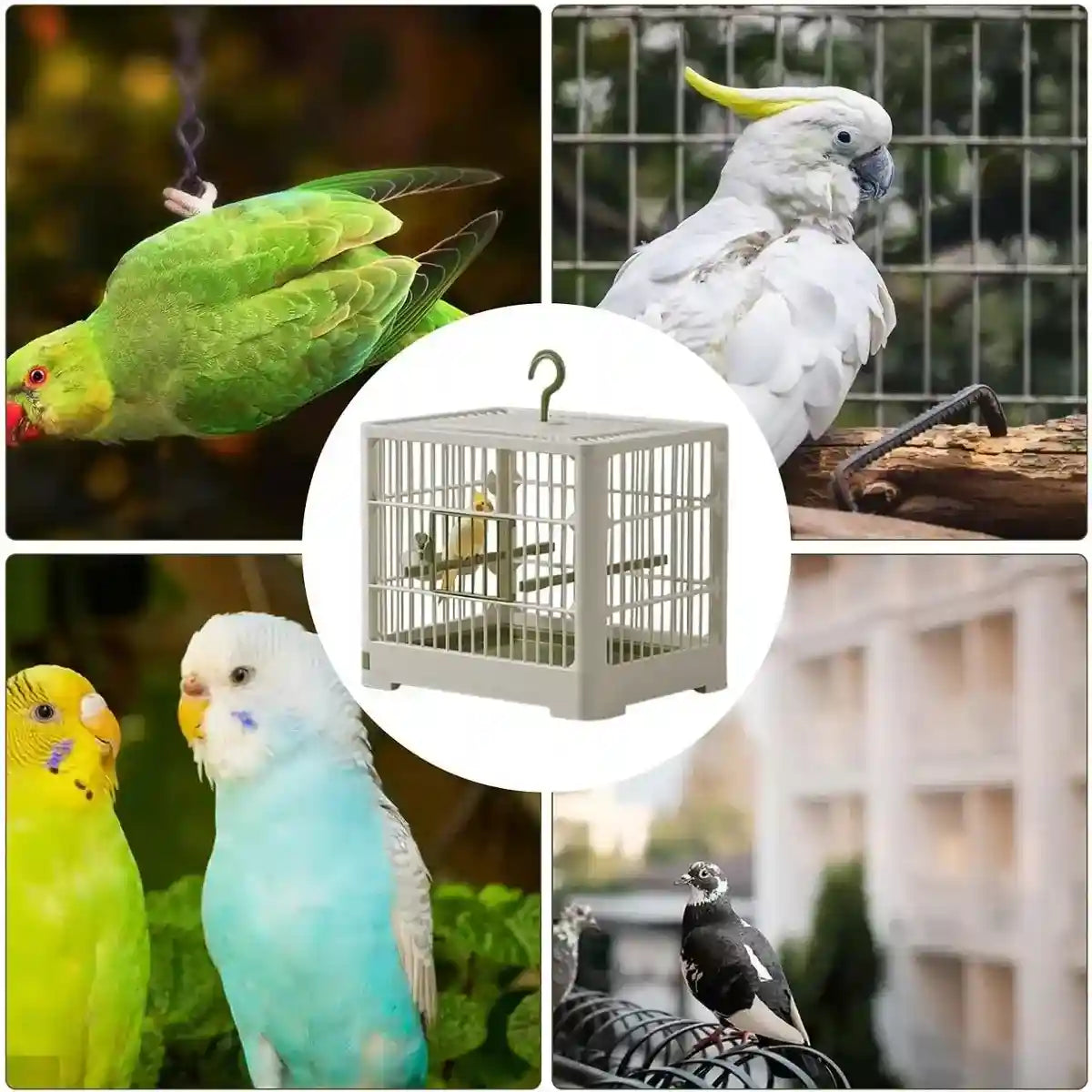 Portable Bird Cage with Tray & Hook Travel Cage for Small Birds