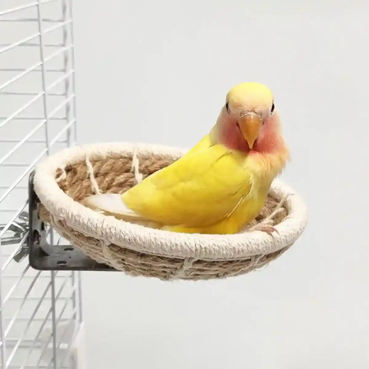 Handwoven Bird Nest for Small Birds Natural Cotton & Hemp Rope Shelter