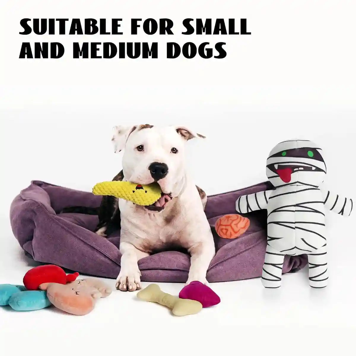 Mummy Plush Dog Toy Set 9-in-1 Interactive