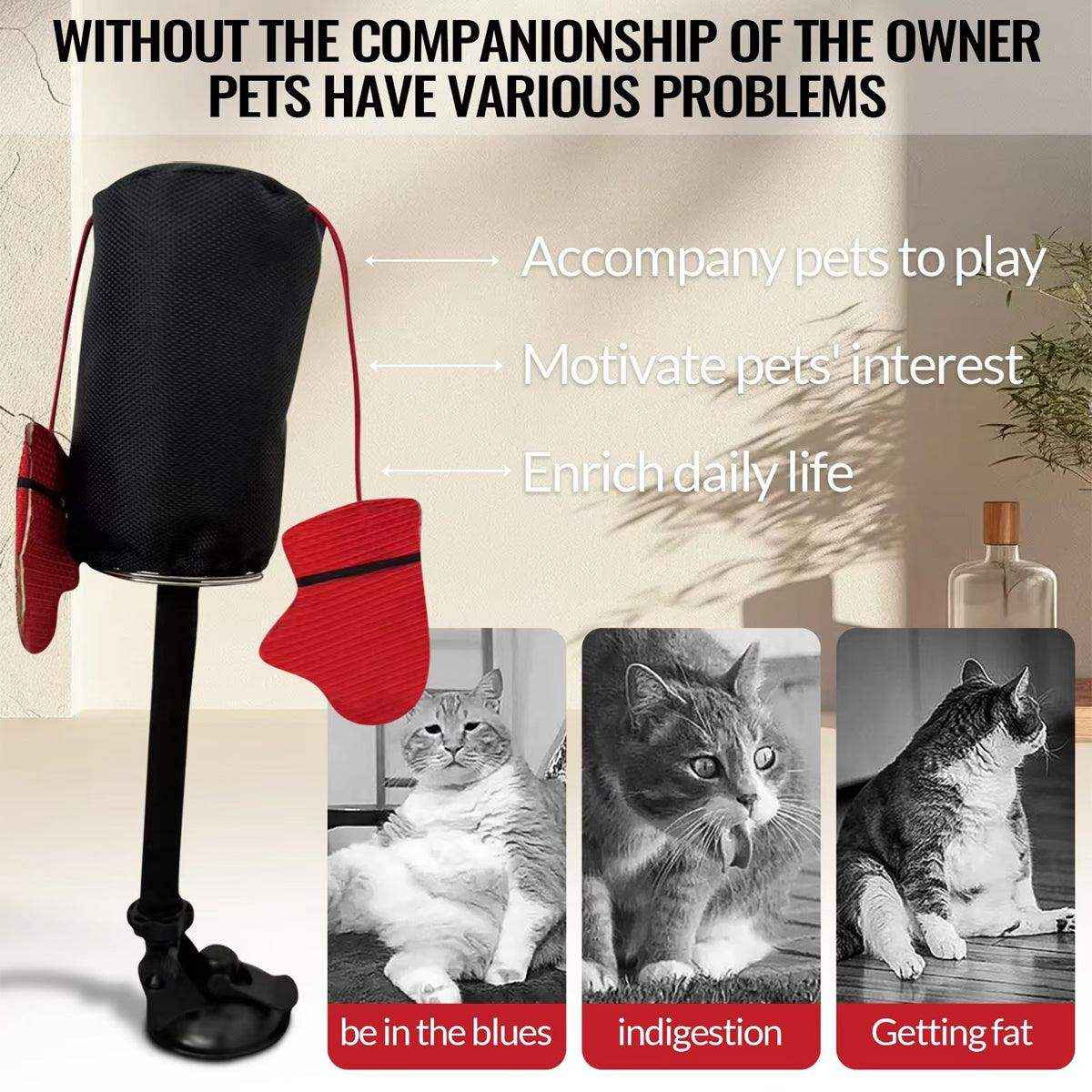 Interactive Cat Boxing Toy Fun Punching Bag for Active Play