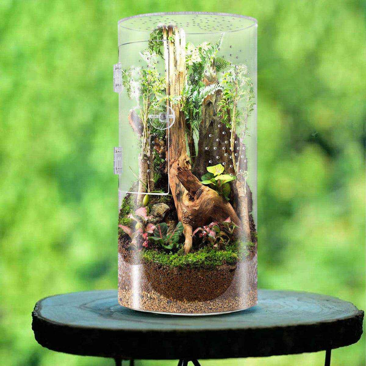 Transparent Cylindrical Pet Breeding Box