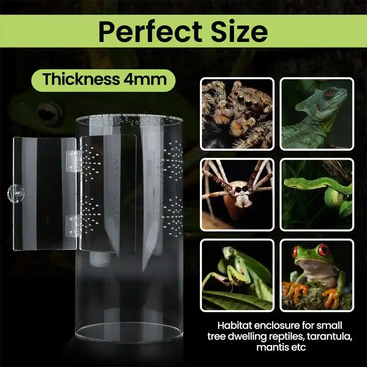 Transparent Cylindrical Pet Breeding Box