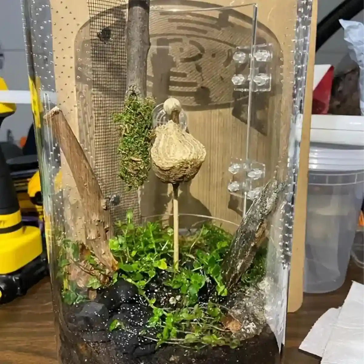 Transparent Cylindrical Pet Breeding Box