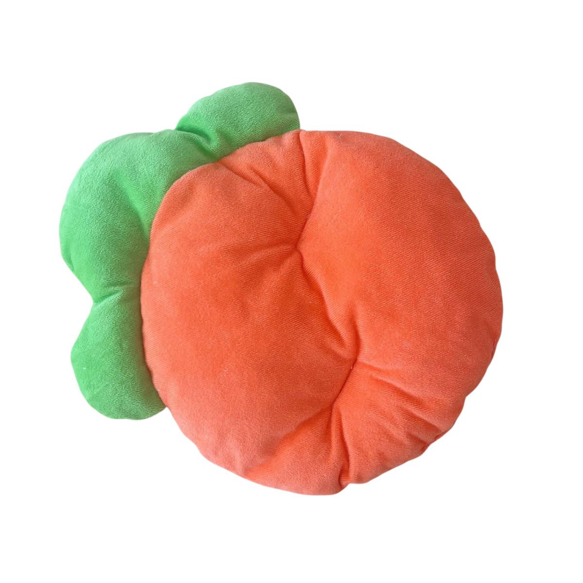 Carrot Shaped Pet Mat