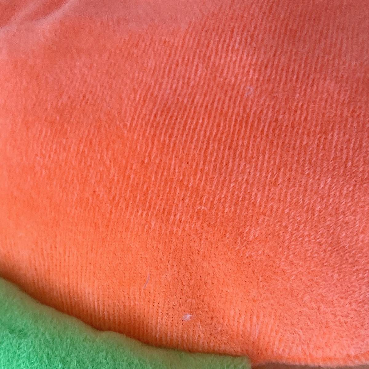 Carrot Shaped Pet Mat