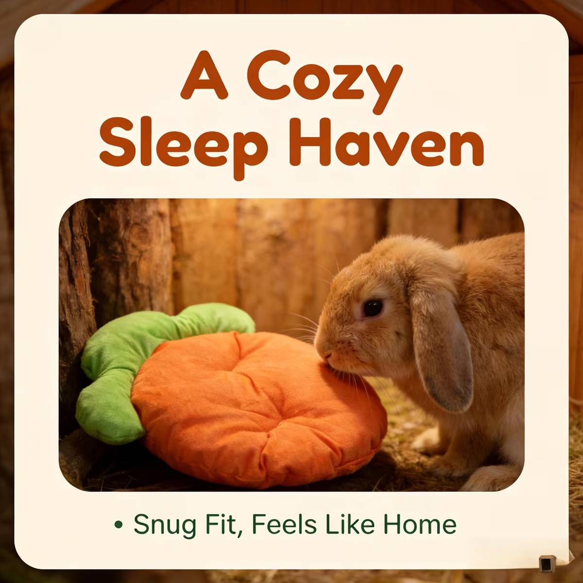 Carrot Shaped Pet Mat