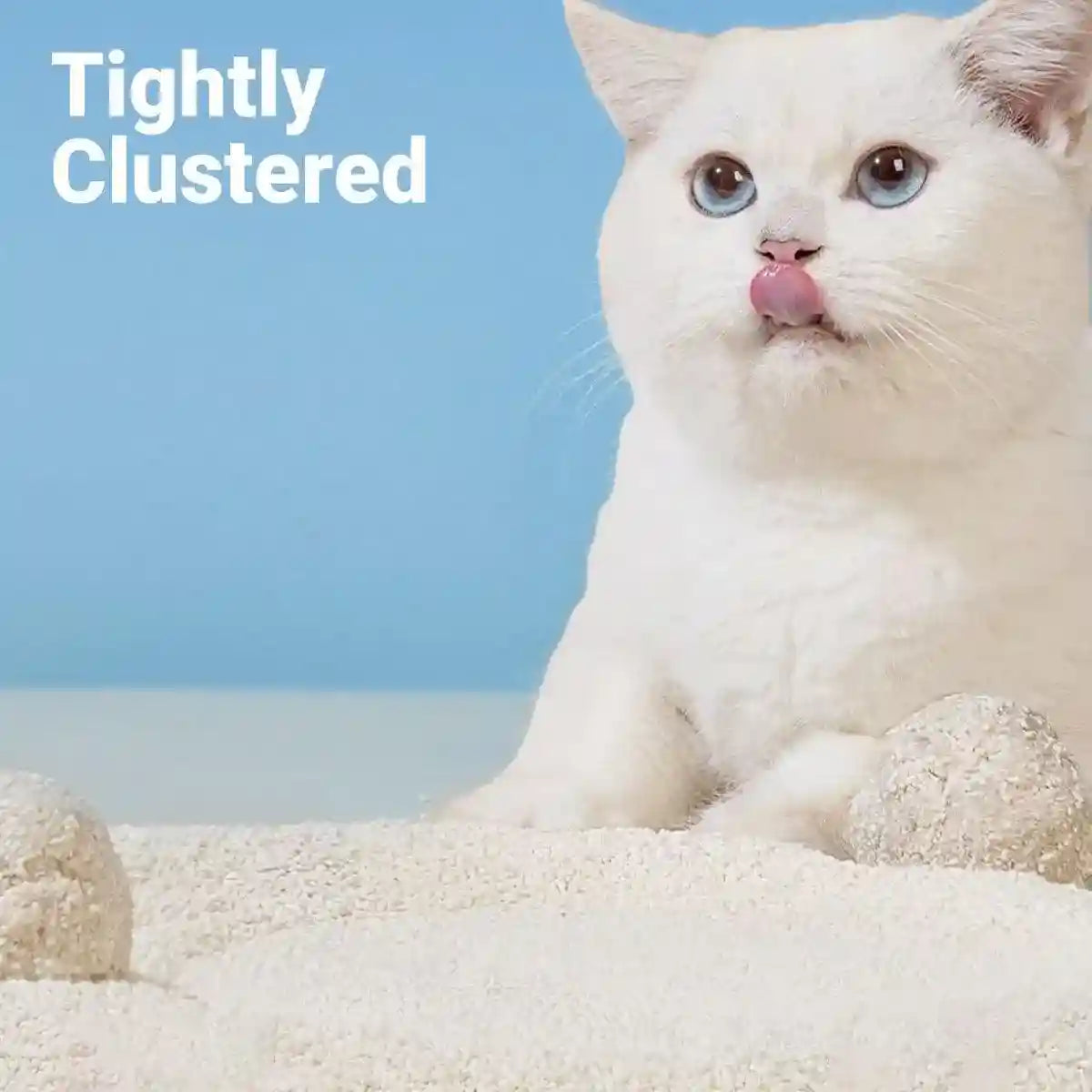 2pcs Natural Tapioca Cat Litter Clumping Odor Control & Low Tracking