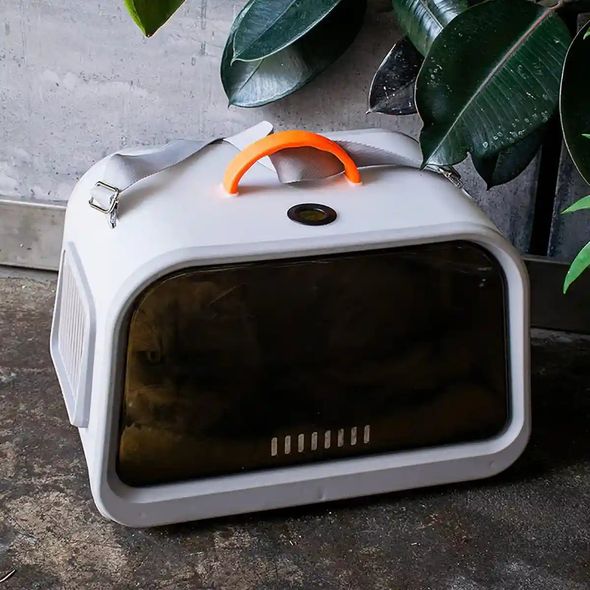 Portable Cat Carrier with Thermometer and Sherpa Pad