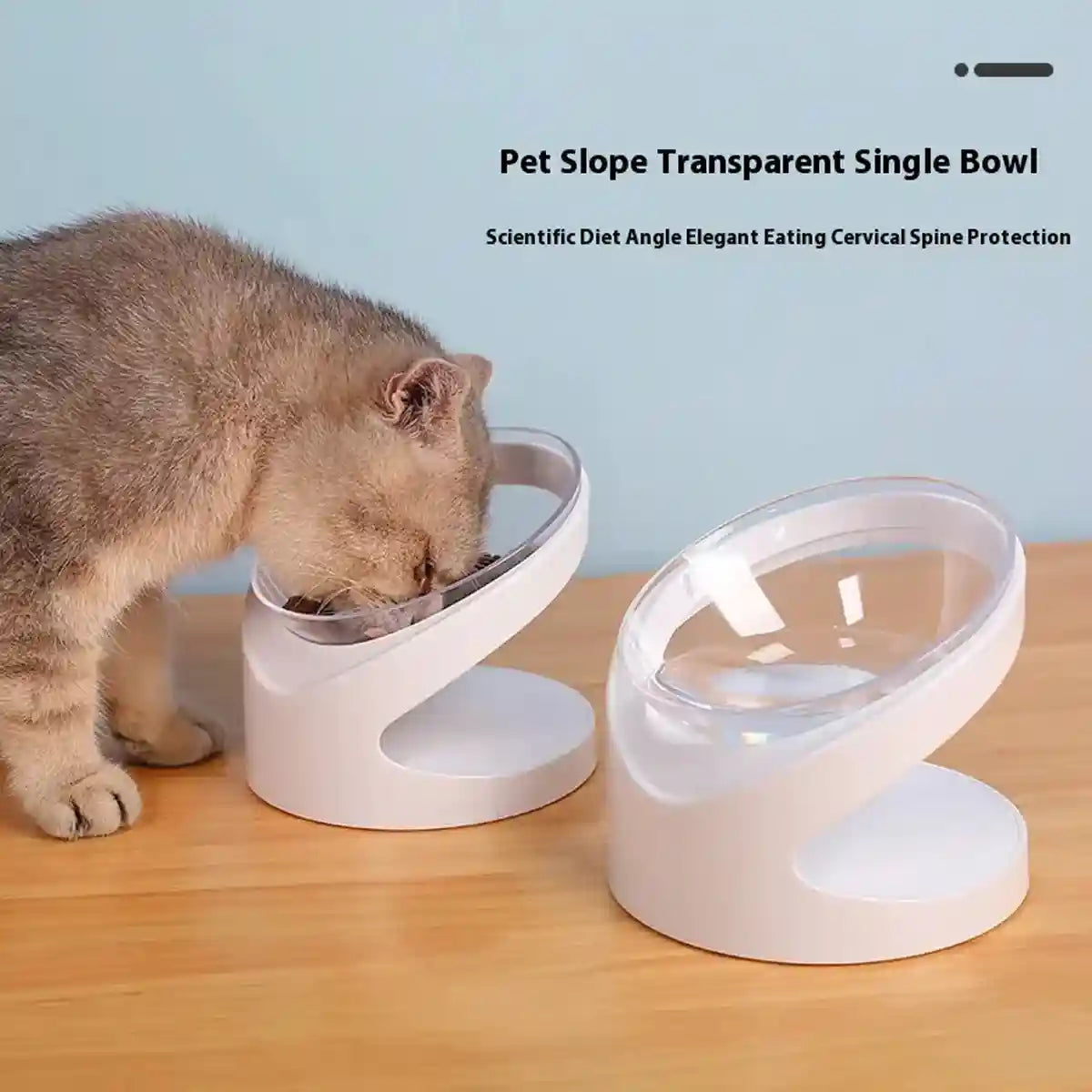 15° Tilted Cat Bowl Elevated Anti-Slip Pet Feeder for Cats & Dogs