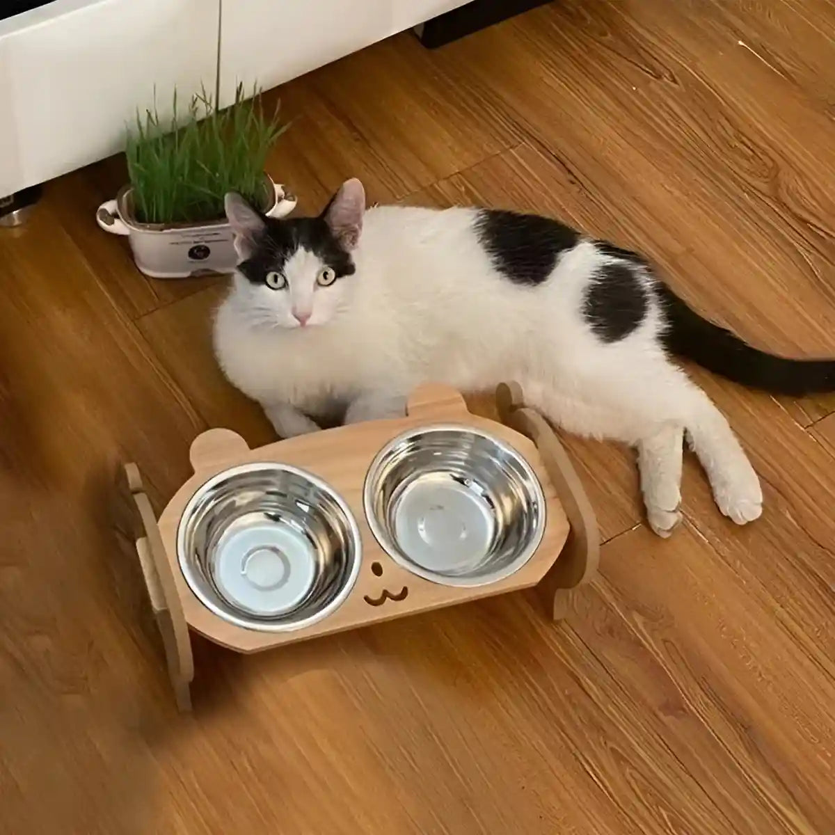 Adjustable Cat Dog Raised Bowl Stand with Stainless Steel Double Bowls