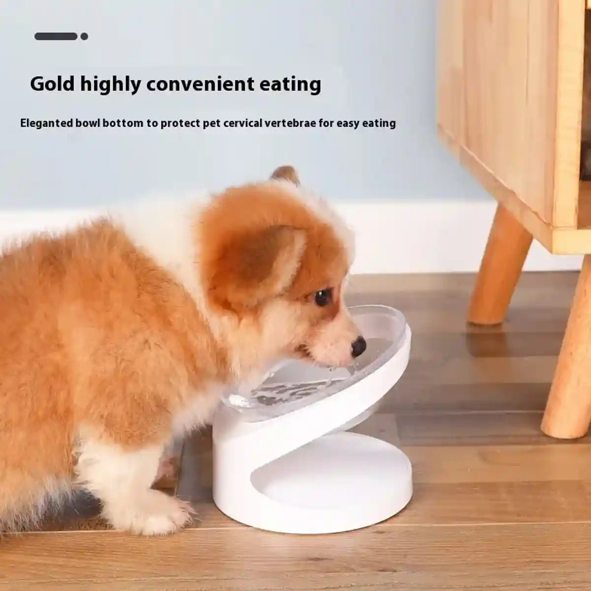 15° Tilted Cat Bowl Elevated Anti-Slip Pet Feeder for Cats & Dogs