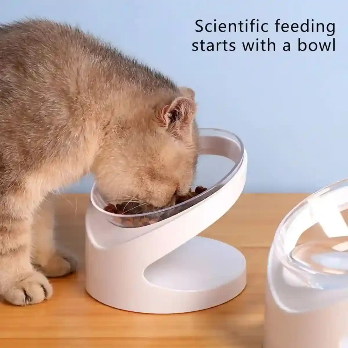 15° Tilted Cat Bowl Elevated Anti-Slip Pet Feeder for Cats & Dogs