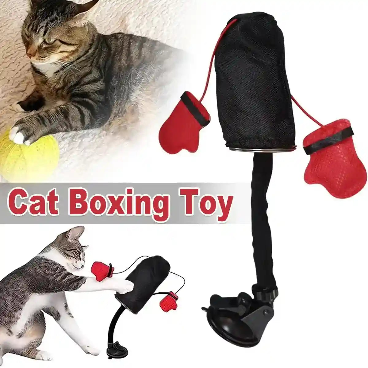 Interactive Cat Boxing Toy Fun Punching Bag for Active Play