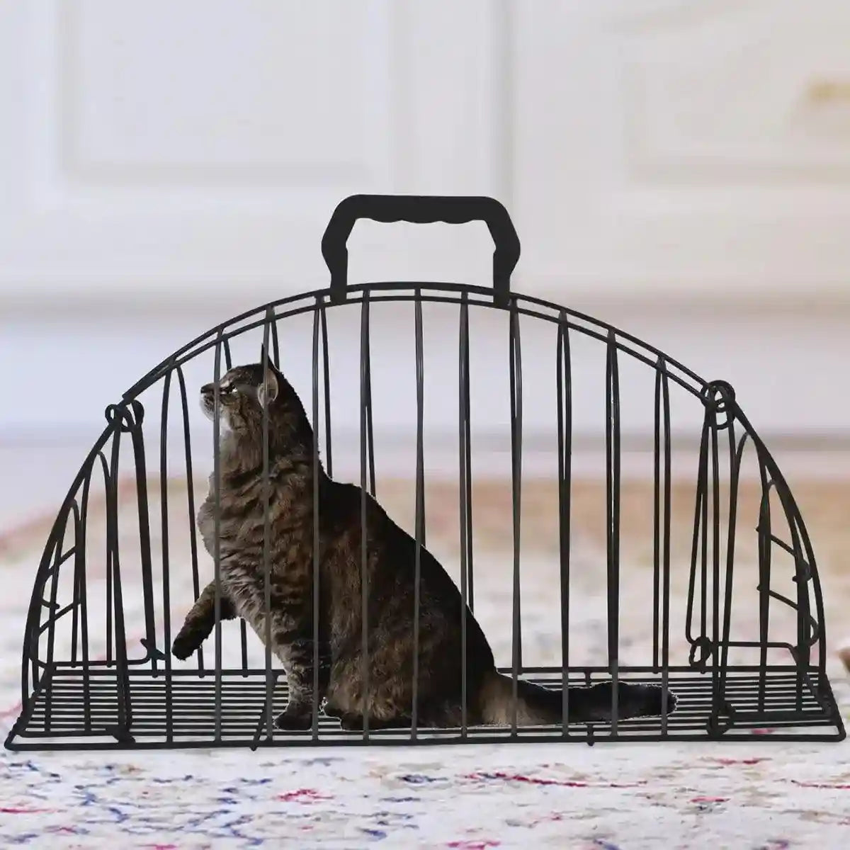 Secure Metal Cat Cage for Grooming and Travel