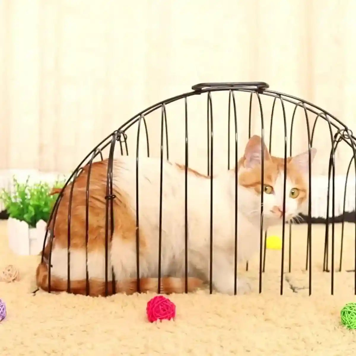 Secure Metal Cat Cage for Grooming and Travel