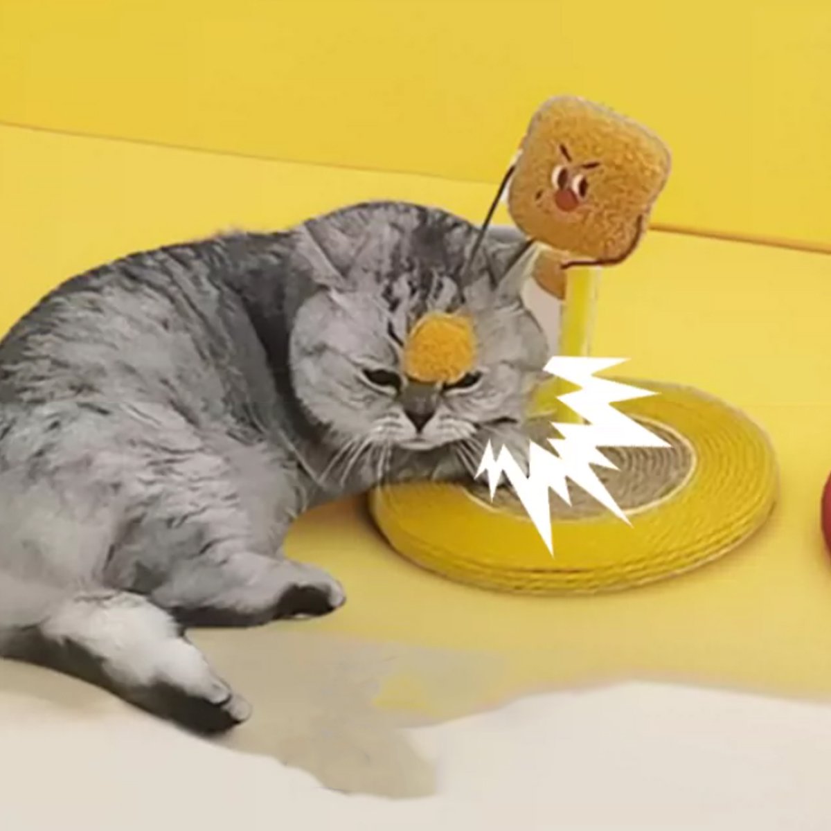 Plush Fruit Cat Scratcher - Rocking Cat Toy & Bed