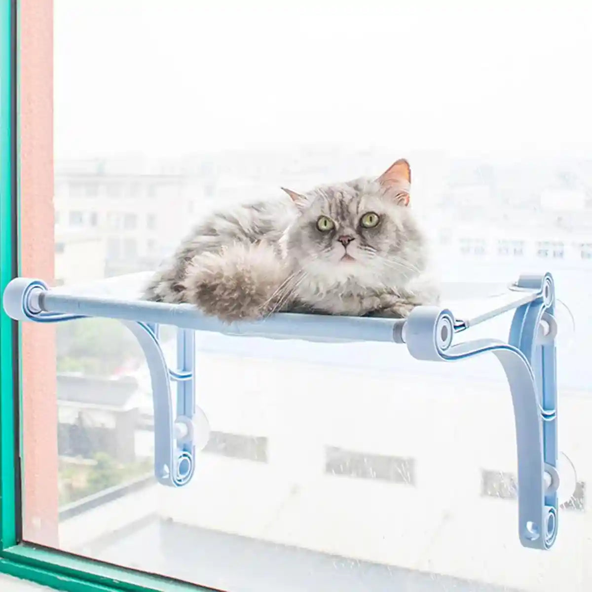 Cat Hammock Window Perch Hanging Cat Bed With Strong Suction Cups