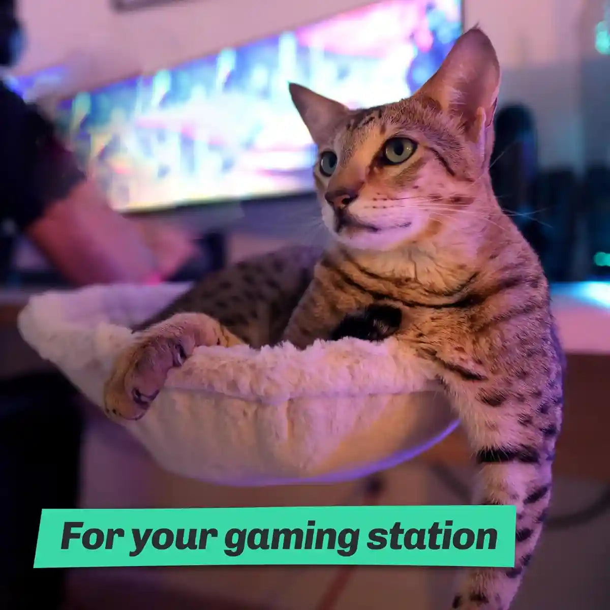 Adjustable Cat Hammock for Desk with Soft Faux Rabbit Fur