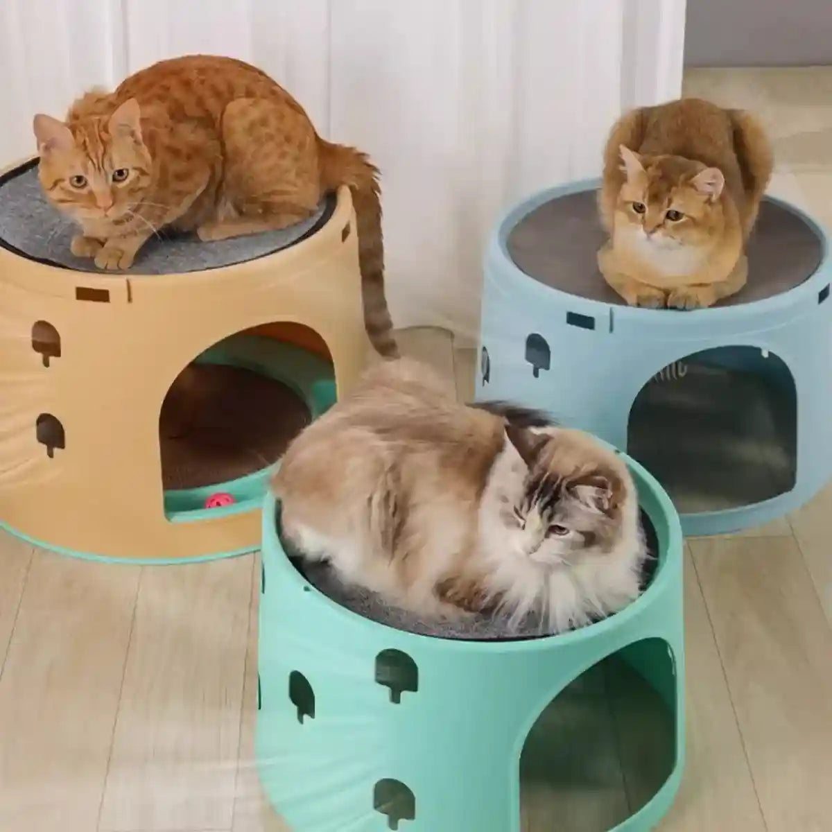 Space-Saving Cat Tower Bed with Scratcher & Toys for Multi-Cat Homes