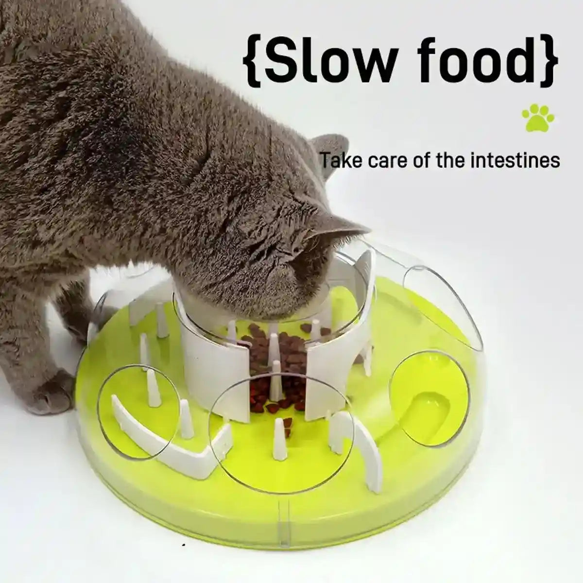 Interactive Slow Feeder Cat Bowl with Maze Design for Healthy Eating