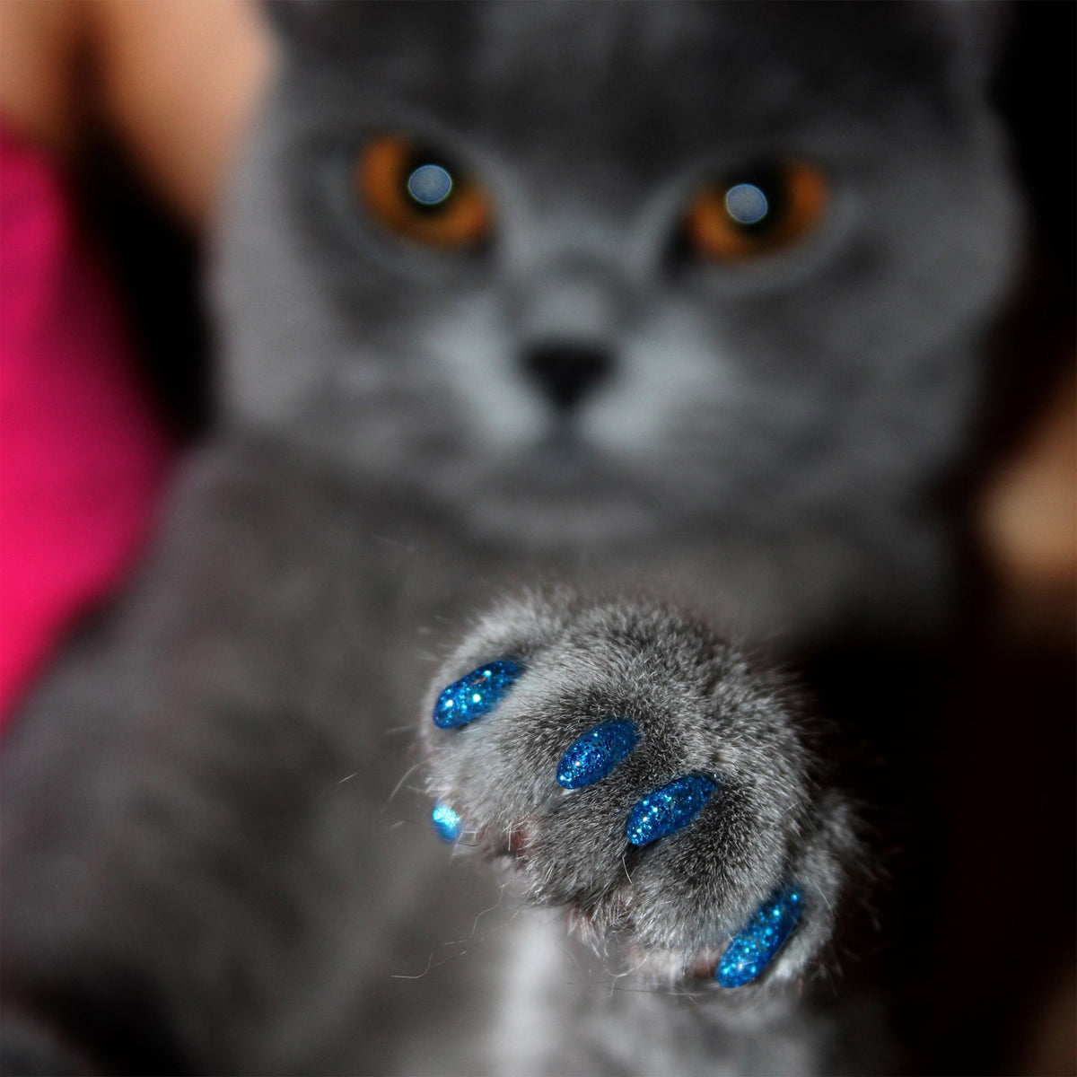 Soft Cat Nail Caps Anti-Scratch Claw Covers (100pcs)