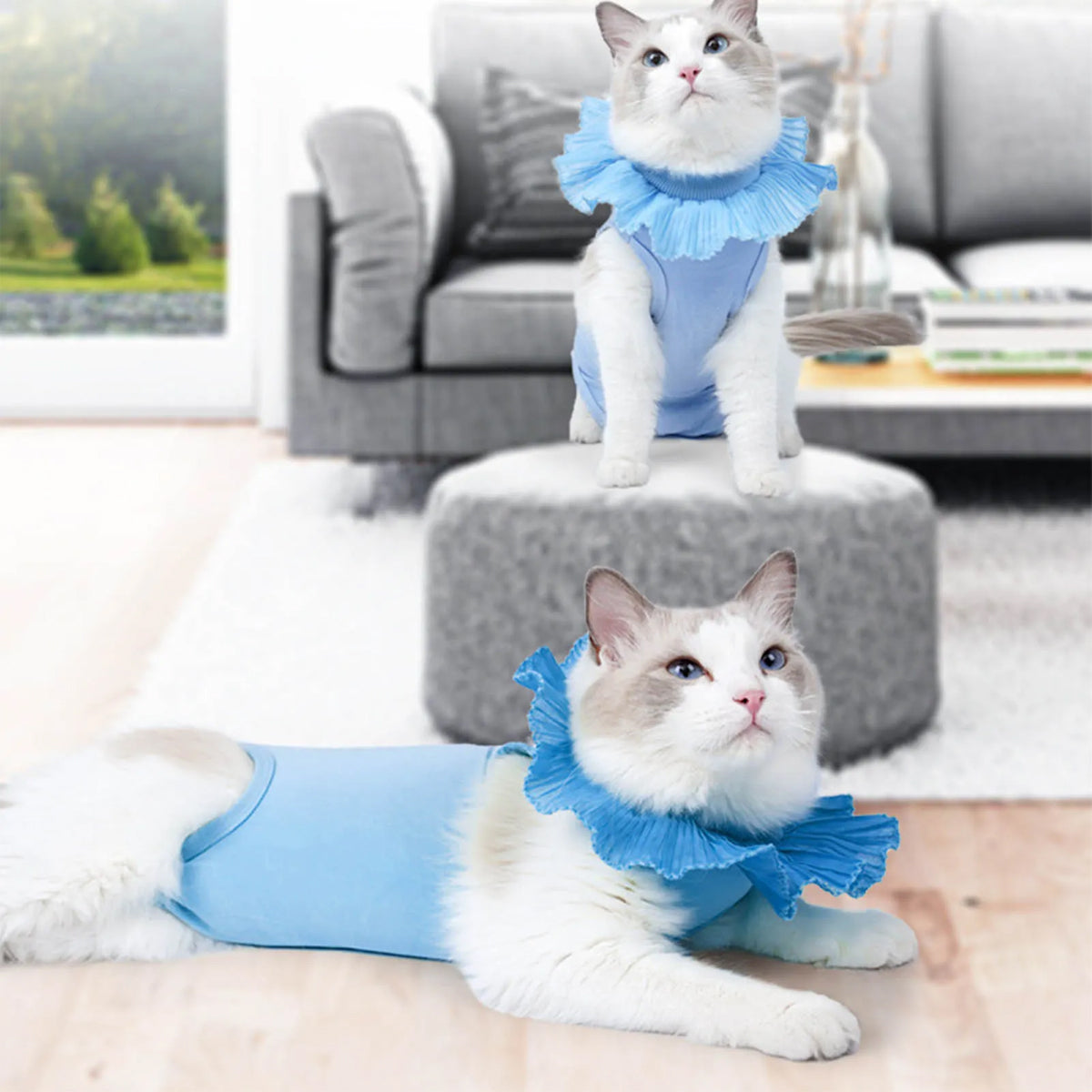 Cat Postoperative Recovery Suit