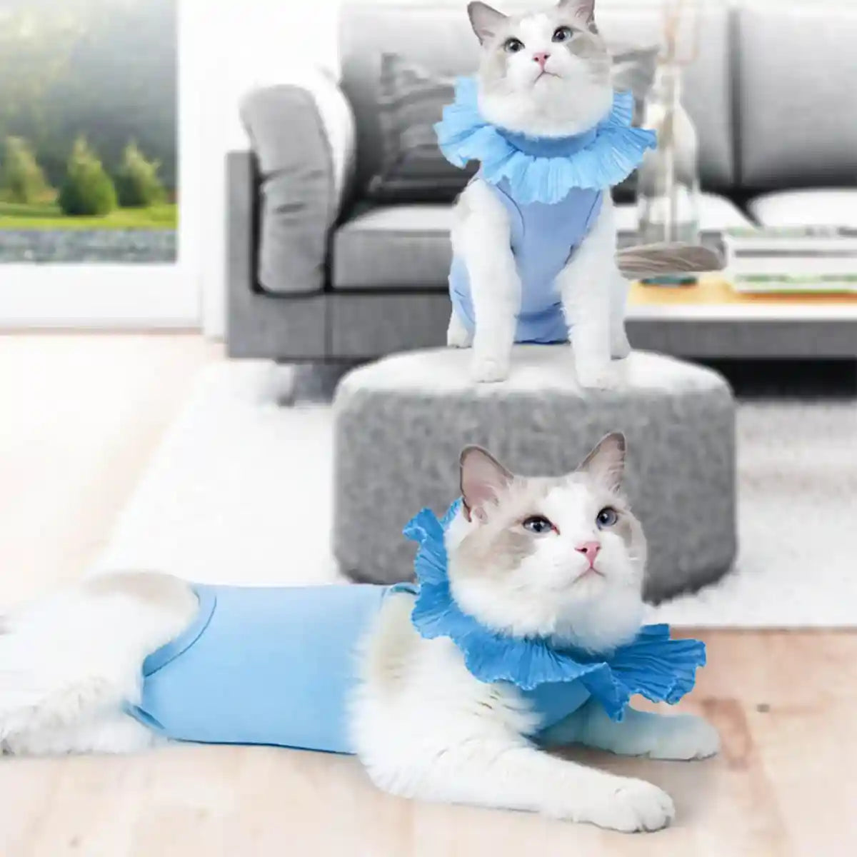 Cat Postoperative Recovery Suit