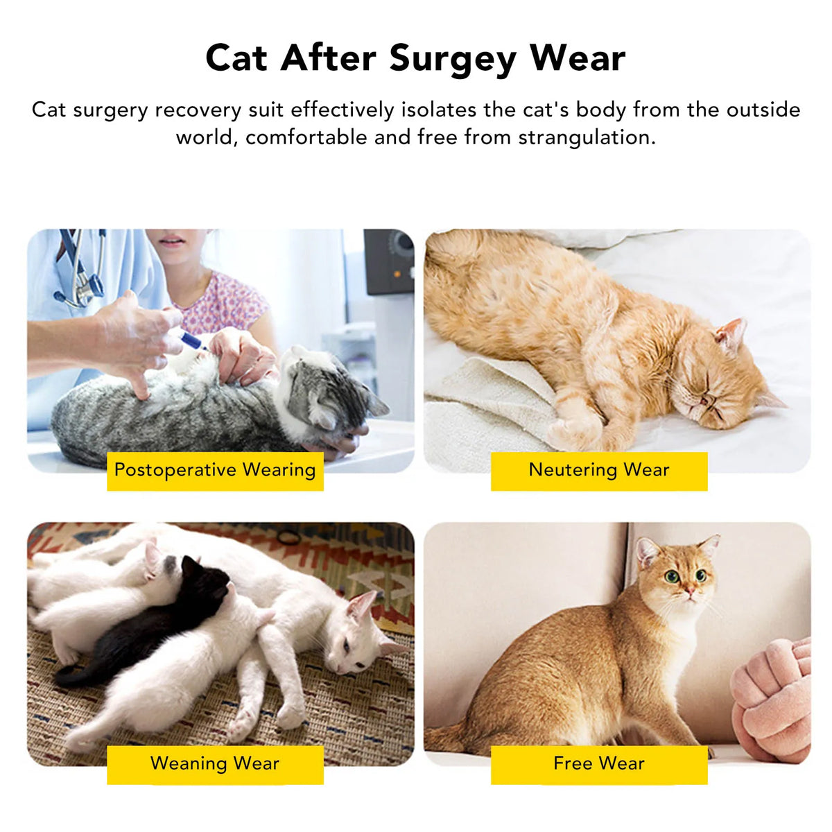 Cat Postoperative Recovery Suit