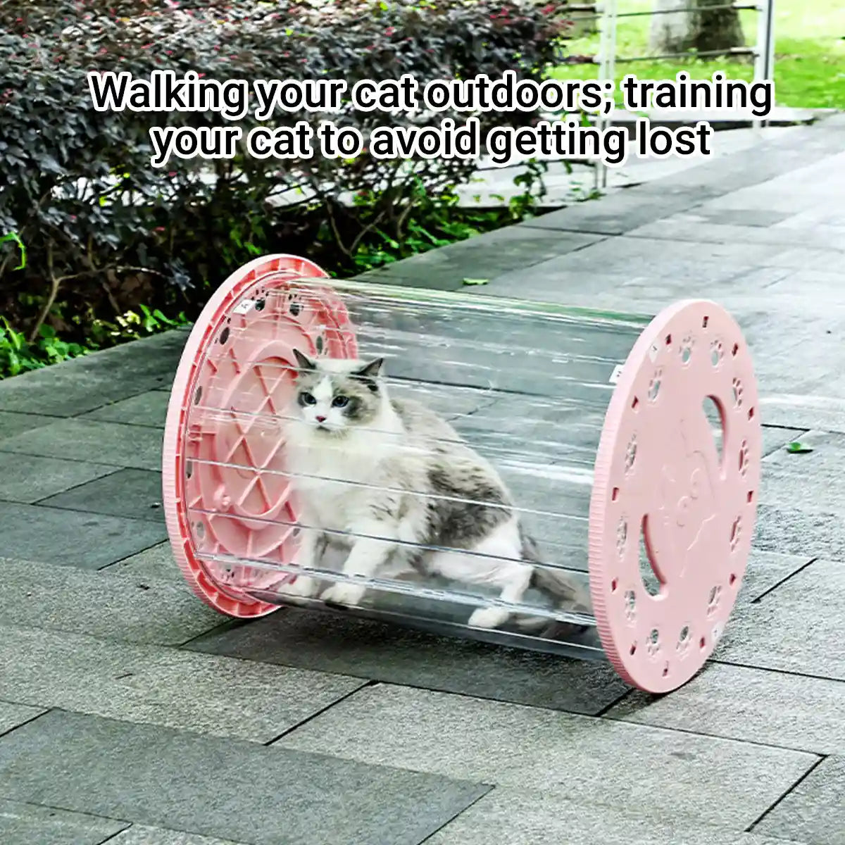 Cat Treadmill Outdoor Walking & Exercise Tunnel With Lockable Wheels