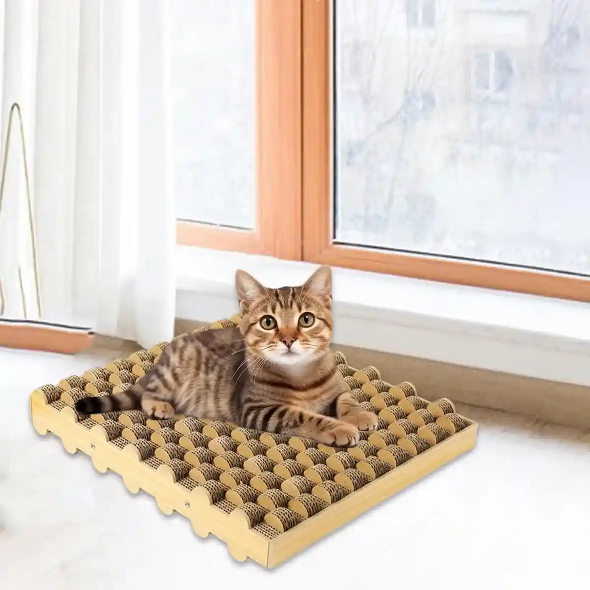 Cat Scratch Board Corrugated Paper Scratcher & Lounger With Massage Design