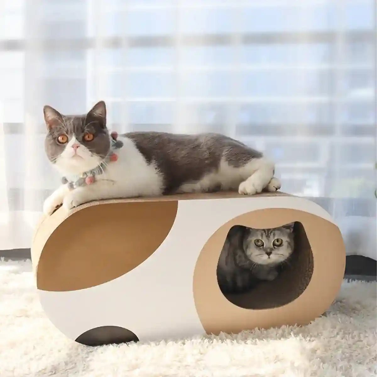 Tunnel Cat Scratching Board