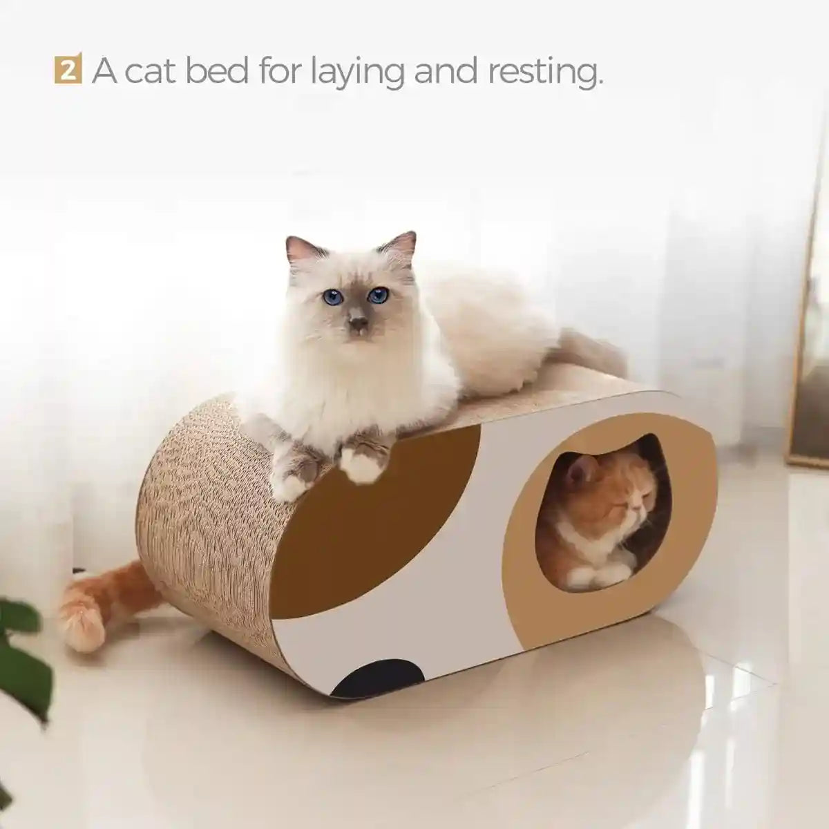 Tunnel Cat Scratching Board