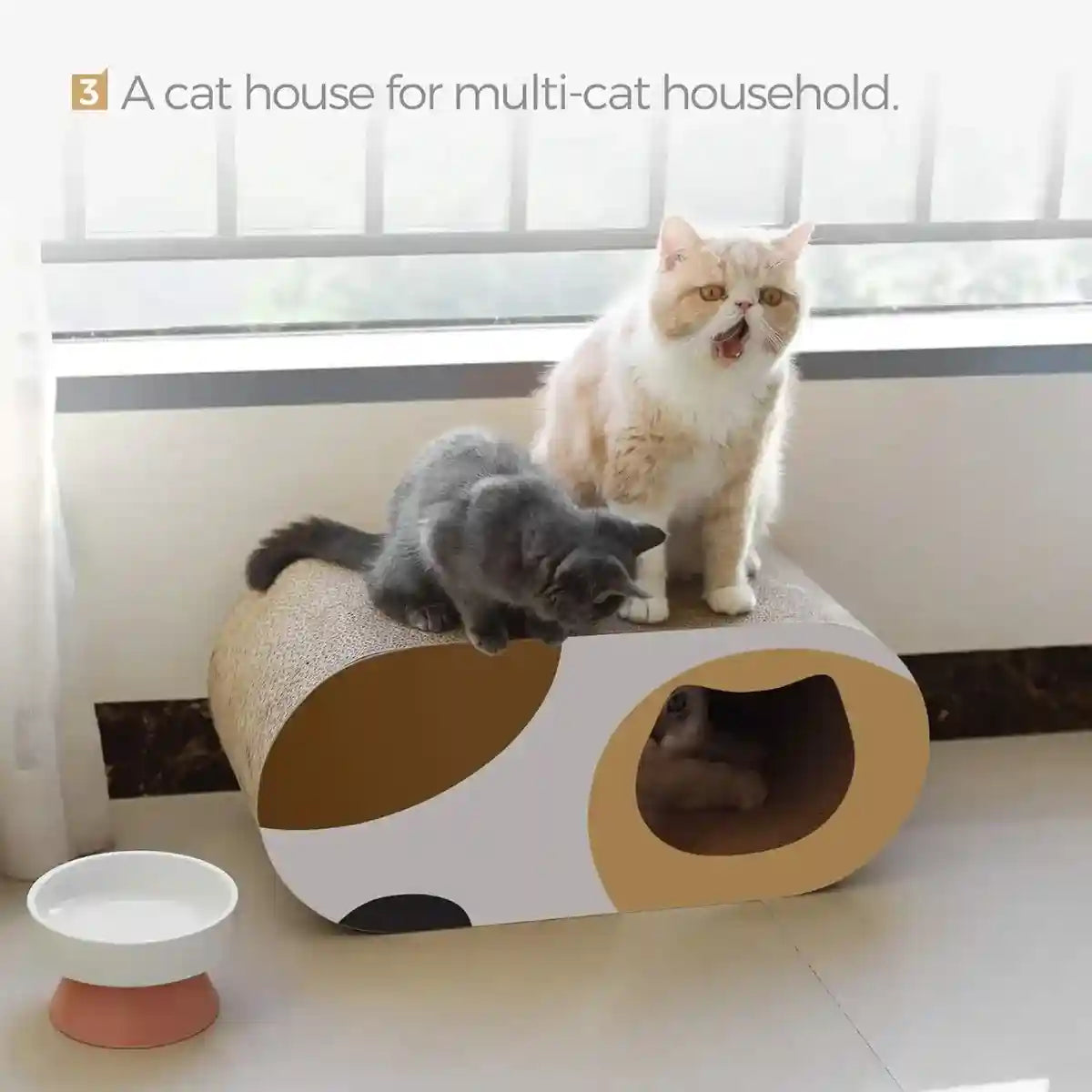 Tunnel Cat Scratching Board