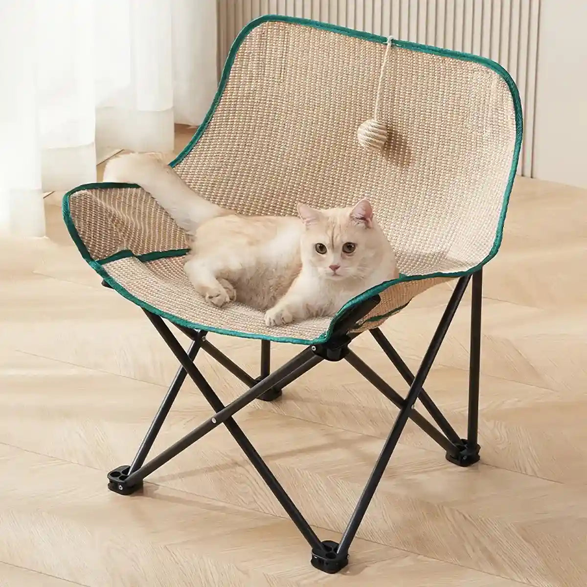 Moon Chair for Cats and Humans – Foldable Scratch-Resistant Lounge Seat