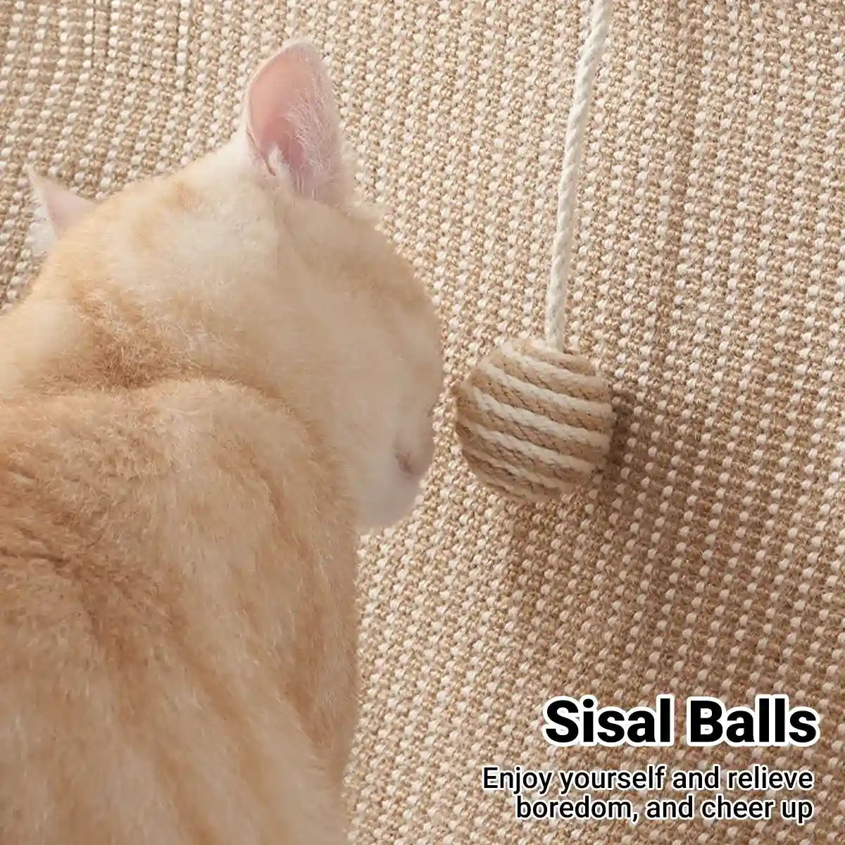 Moon Chair for Cats and Humans – Foldable Scratch-Resistant Lounge Seat