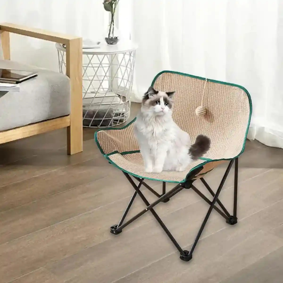Moon Chair for Cats and Humans – Foldable Scratch-Resistant Lounge Seat