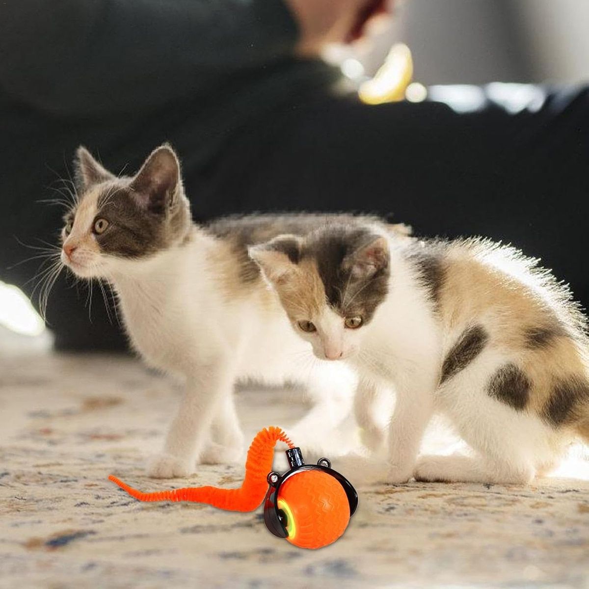 Orange Interactive Cat Rolling Ball with Tail