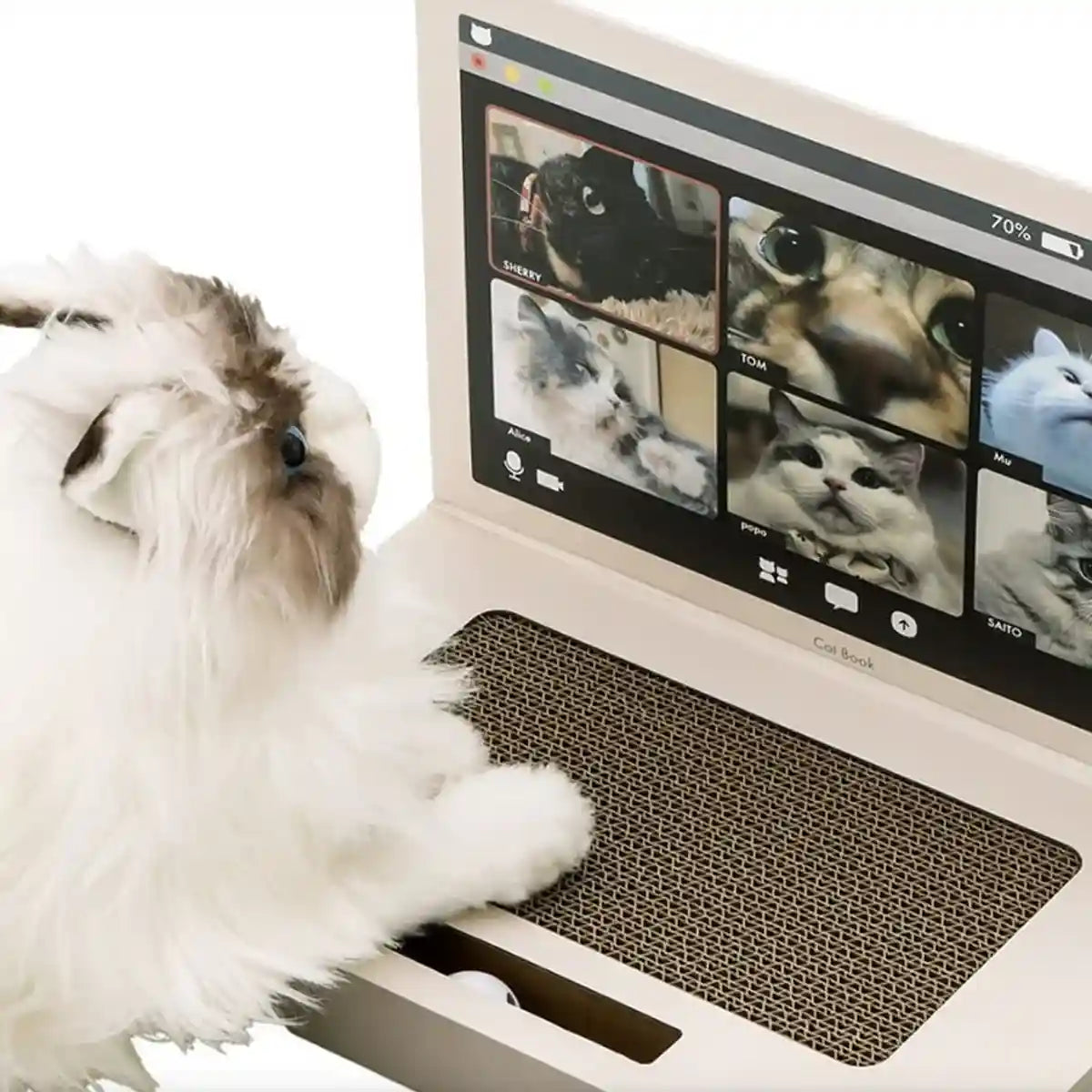 Laptop-Inspired Cat Scratching Board – Durable & Interactive Design